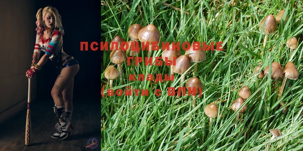 твердый Вязники