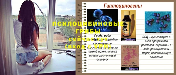 твердый Вязники