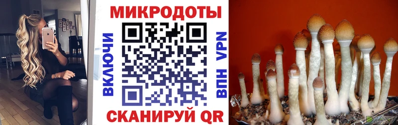 Псилоцибиновые грибы Psilocybe  KRAKEN вход  Назарово 